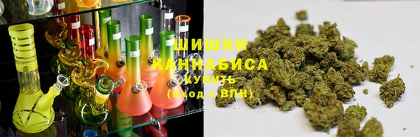 гашик Бронницы