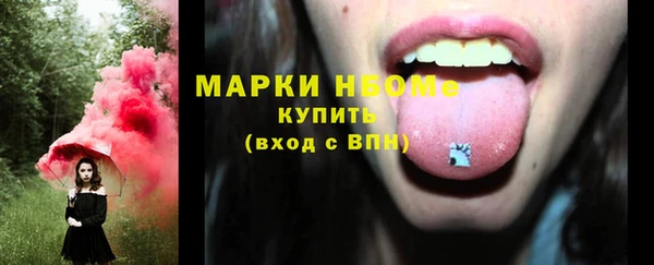 гашик Бронницы