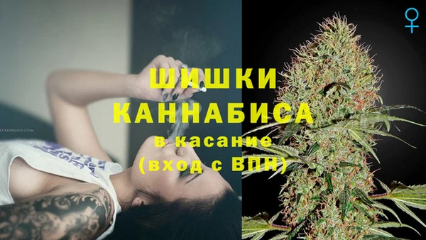 гашик Бронницы